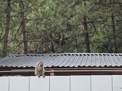-卡定沟景区