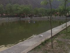 iphone_upload_pic-水韵湾生态农庄