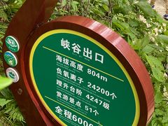 -凤凰山国家森林公园