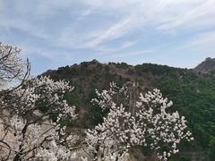 -慕田峪长城