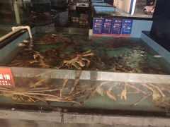 -尚海豆捞(乐虹坊店)