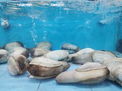 -渔人湾码头海鲜市场负二楼
