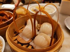 -金鼎轩(方庄天坛店)