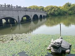 -昆山城市生态森林公园