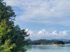 -广州市流溪河国家森林公园