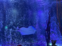 -沈阳海洋探索中心