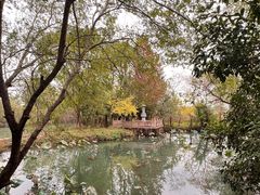 -西溪国家湿地公园