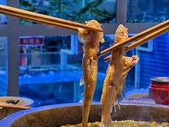 -石锅苗苗鱼(武汉首店)
