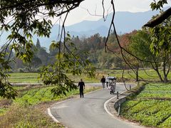 -塔川景区