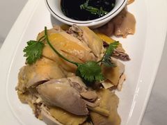 -全乐鱼馆·淳牌有机鱼直营店