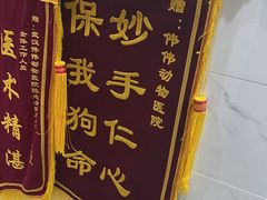 -伟伟宠物医院·CT影像中心·瑞派犬猫综合性门诊(汉口总院)
