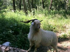-天鹅湖生态旅游风景区