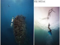 -苏州海洋馆