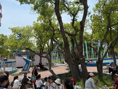 -自然谷恐龙园