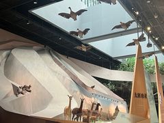 -武汉园博园(武汉自然博物馆)