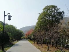 -白马涧龙池景区