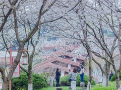 -中国茶叶博物馆(双峰馆区)