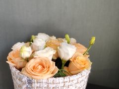 -宝鸡东道花鸟鱼虫市场(吉利花园商场店)