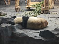 -秦皇岛野生动物园