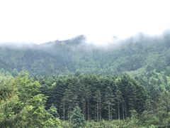 景区大门-石棉县孟获城