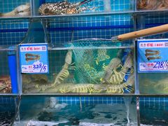 水产区-锦里海景海鲜餐厅.三亚老字号(亚龙湾中心广场店)