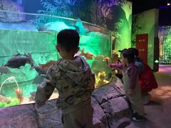 -沈阳海洋探索中心