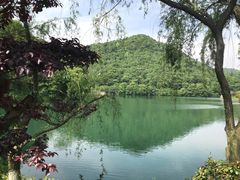 -桃花岭景区