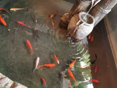 -外婆餐厅(魏县店)