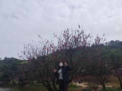 -南国桃园旅游度假区