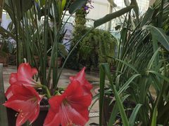 -国家植物园南园