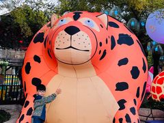 -郑州方特梦幻王国