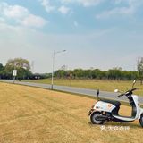 大隐隐于市，偶遇彼岸花