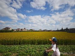 -上海长兴岛郊野公园