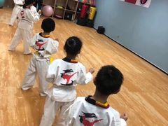 -嗨动跆拳道体能馆(菜百店)