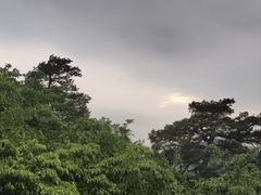 -黔灵山公园
