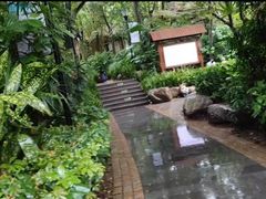 -青城道汤池