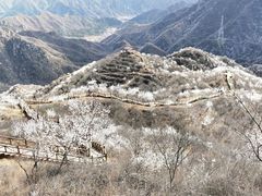 -大岭沟猕猴桃谷风景区