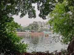 -荔湾湖公园