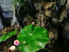 -知足堂养生会所(碑亭巷店)