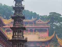 -东莞市大岭山森林公园