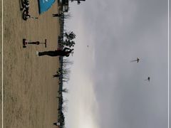 -春花秋色城市公园