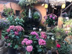 -园林美食城·本土农家菜(杨和镇店)