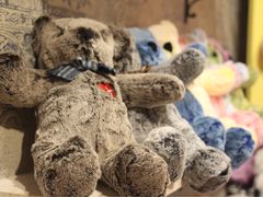 -济州岛泰迪熊博物馆