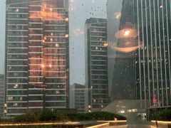 -凤凰湘语·湘粤鲜融(浦东旗舰店)