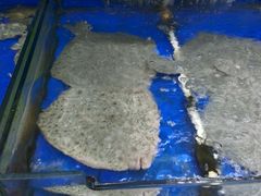 -大润发(花雨店)