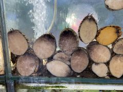 -小海豚•老字号海鲜餐厅(天涯店)