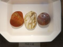 -中华赏石园