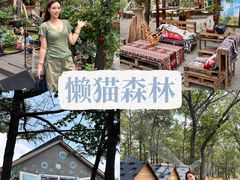 -沂蒙山旅游区云蒙景区(蒙山国家森林公园)