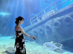 -福州罗源湾海洋世界旅游区