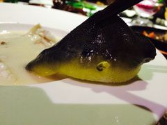 -梧桐餐厅(泉城路店)